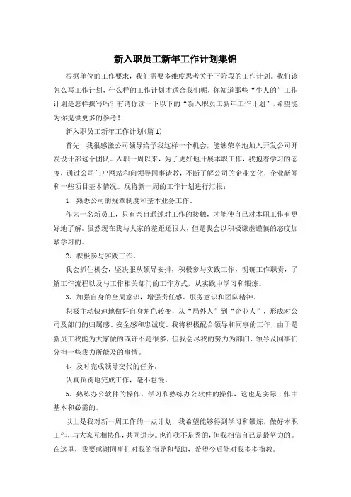 新入职员工新年工作计划集锦