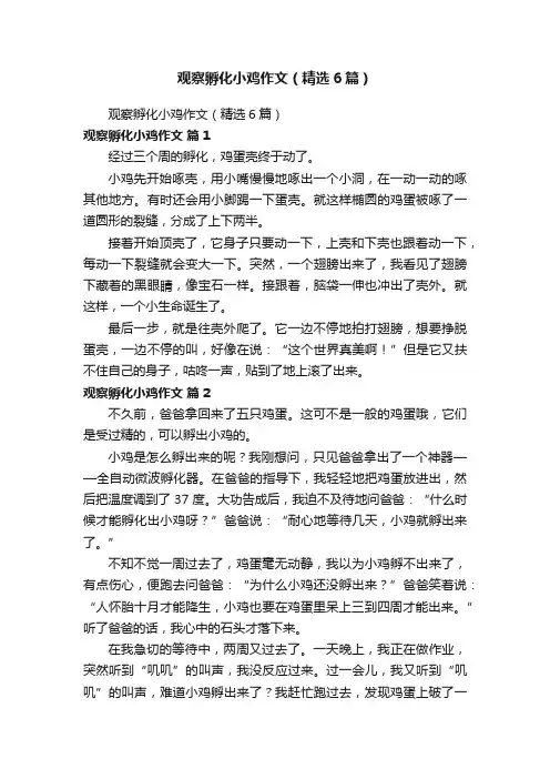 观察孵化小鸡作文（精选6篇）
