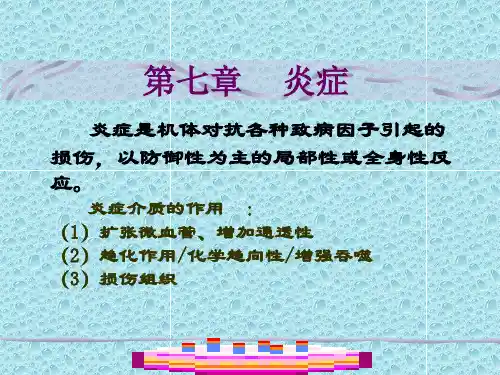 第七章    炎症