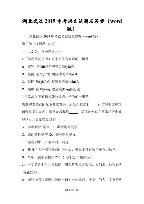 湖北武汉中考语文试题及答案