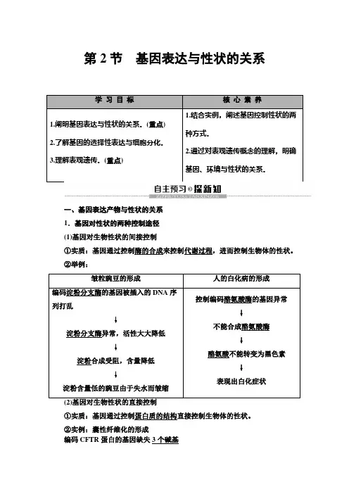 2020学年高中生物新教材人教版必修第二册教师用书：第4章 第2节 基因表达与性状的关系