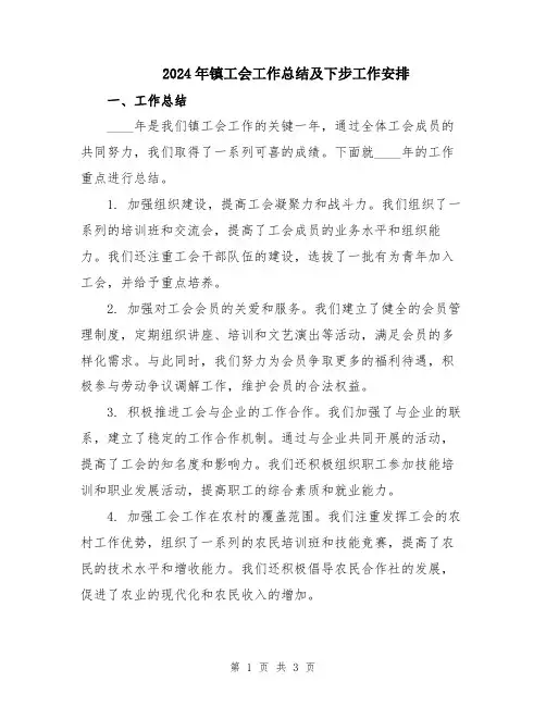 2024年镇工会工作总结及下步工作安排