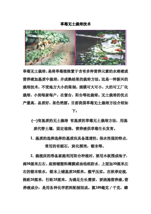 草莓无土栽培技术