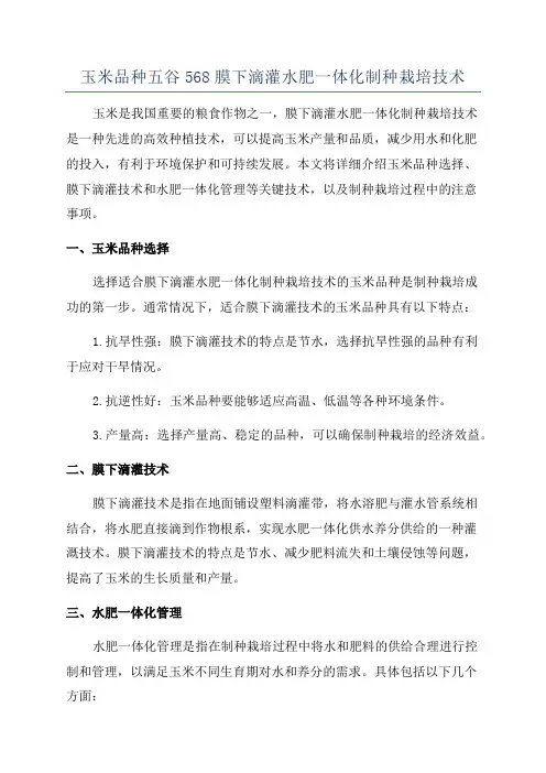 玉米品种五谷568膜下滴灌水肥一体化制种栽培技术