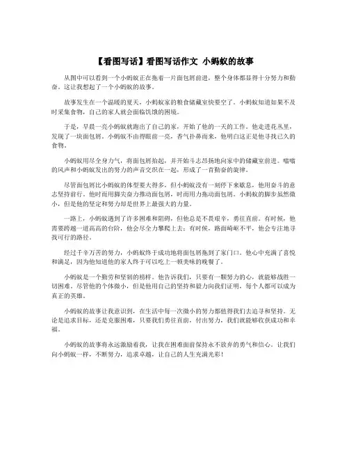 【看图写话】看图写话作文 小蚂蚁的故事