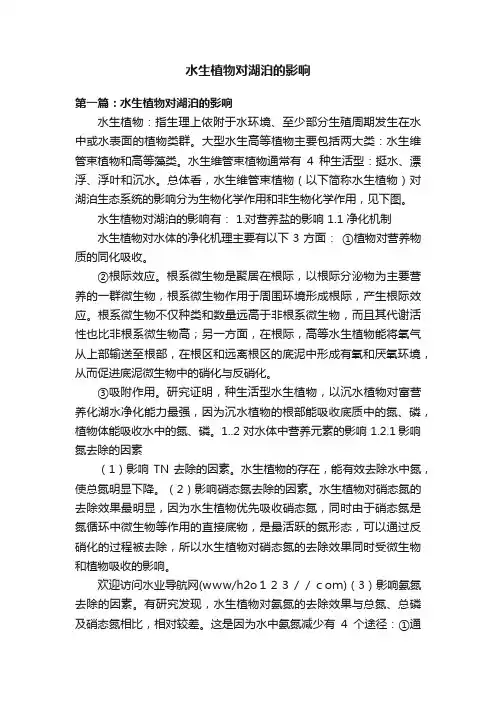 水生植物对湖泊的影响