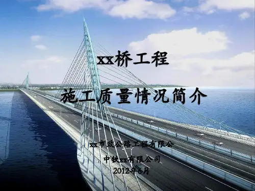 城市快速路特大桥工程施工质量情况(鲁班奖总结)44页
