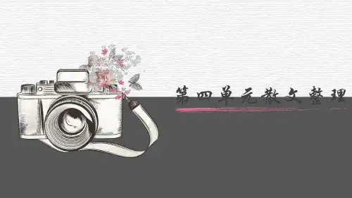 统编版语文八年级上册第四单元散文文体整理课件