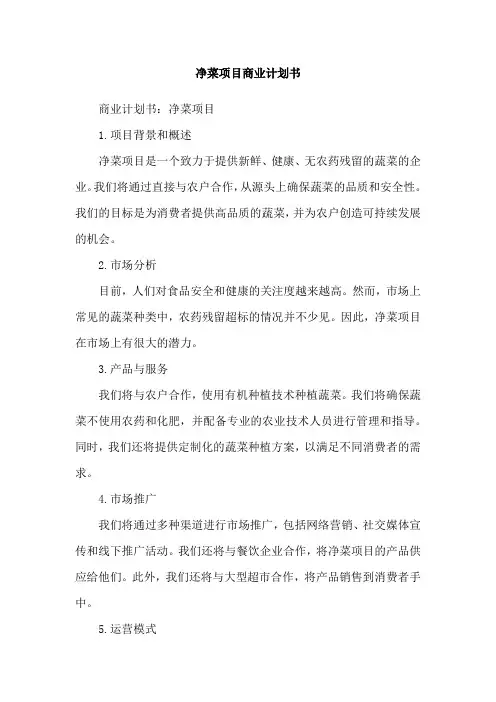 净菜项目商业计划书
