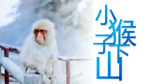 《小猴子下山》ppt课件