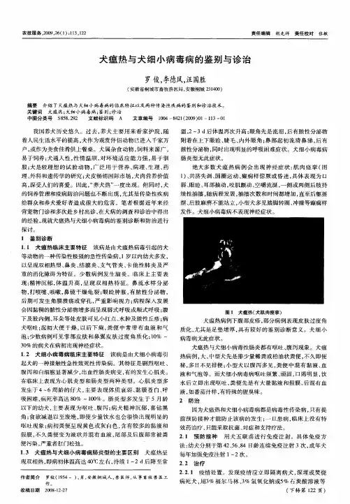 犬瘟热与犬细小病毒病的鉴别与诊治