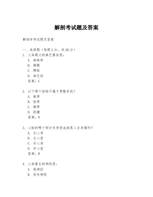 解剖考试题及答案
