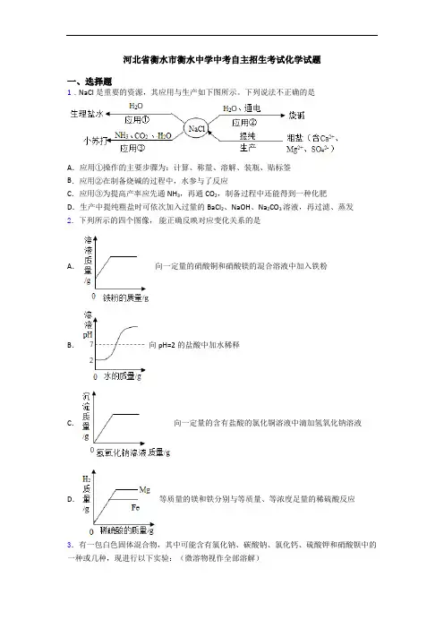 河北省衡水市衡水中学中考自主招生考试化学试题
