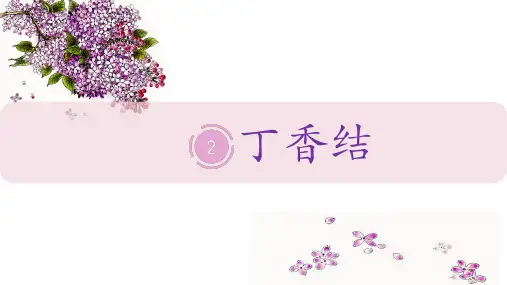 2丁香结课件(共25张PPT)