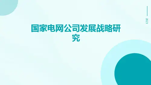 国家电网公司发展战略研究