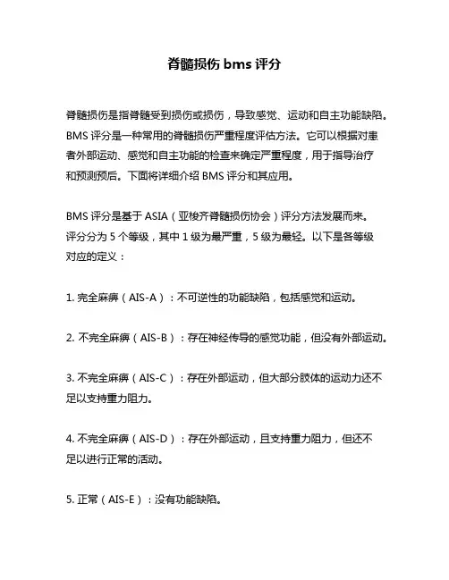 脊髓损伤bms评分
