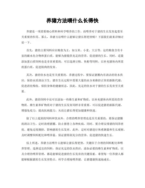 养猪方法喂什么长得快