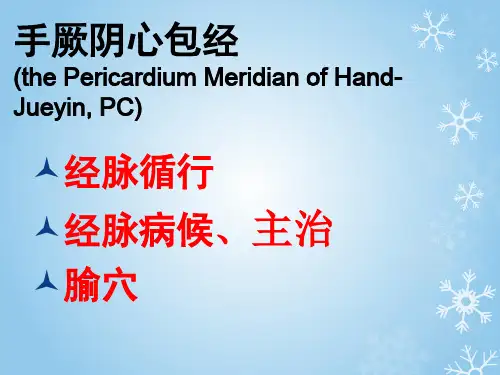 手厥阴心包经