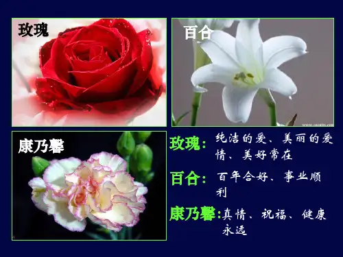 沃兰茨《铃兰花》