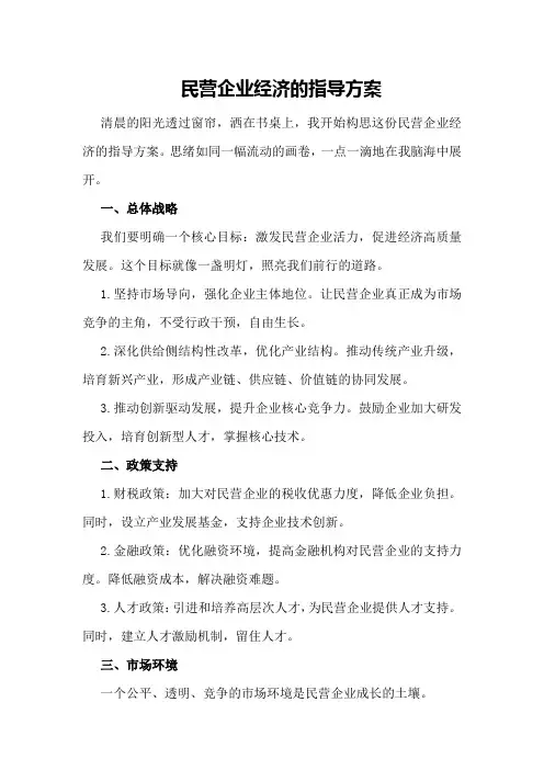 民营企业经济的指导方案