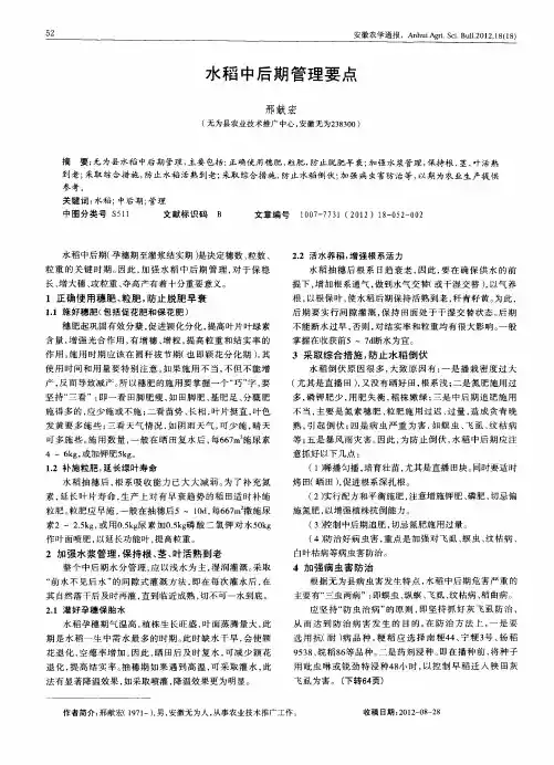 水稻中后期管理要点