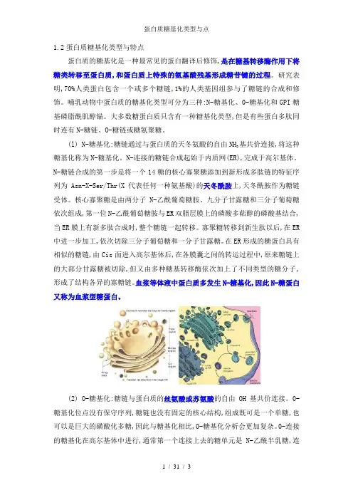 蛋白质糖基化类型与点