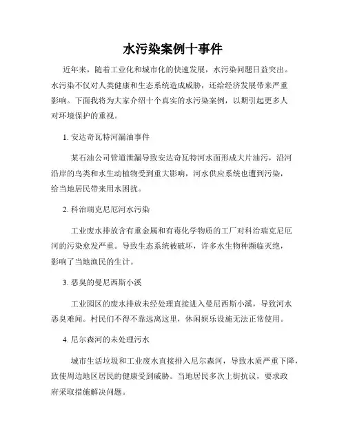 水污染案例十事件