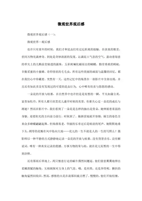 微观世界观后感