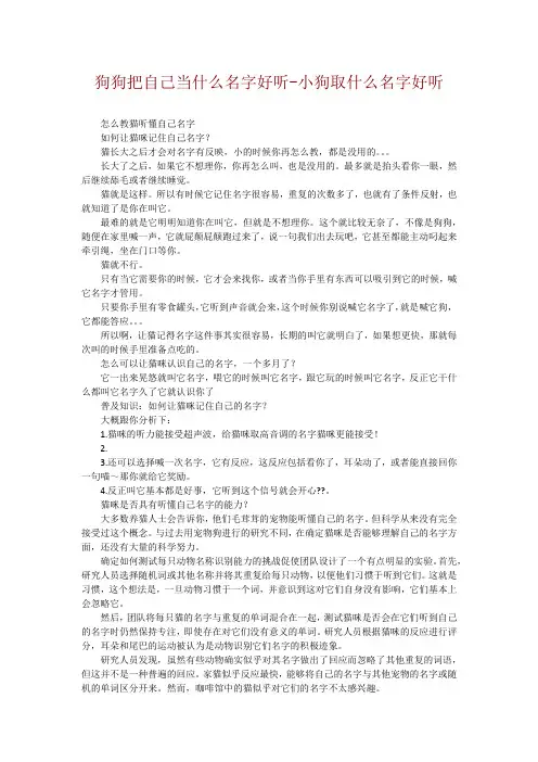 狗狗把自己当什么名字好听-小狗取什么名字好听