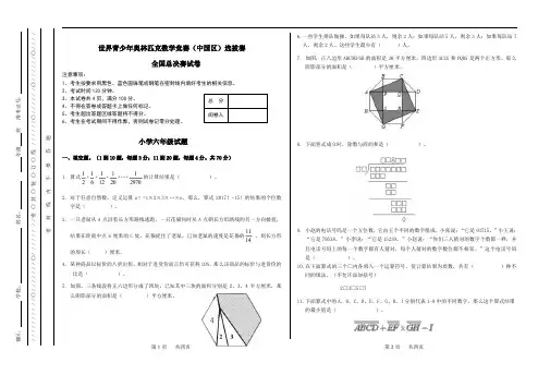 2021最新世界青少年奥林匹克数学竞赛 小学六年级(中国区)选拔赛 总决赛 试卷