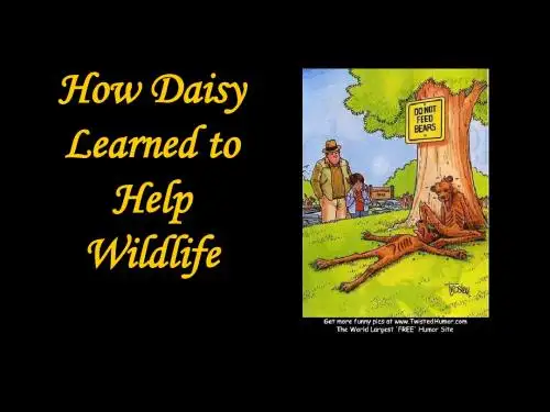 高中英语Unit 4 Wildlife protection- reading课件 新课标 人教版 必修2.ppt