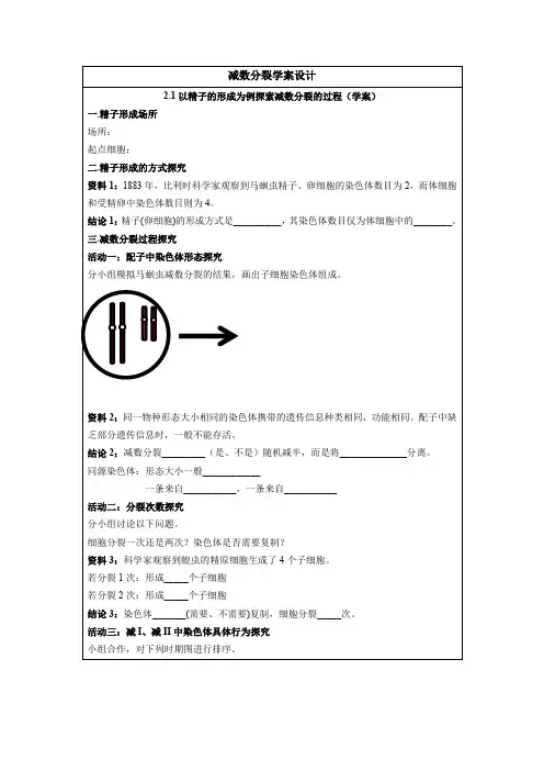 2 1 1减数分裂 学案  高中生物人教版必修2  