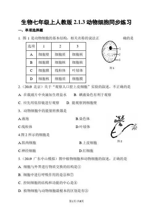 生物七年级上人教版2.1.3动物细胞同步练习
