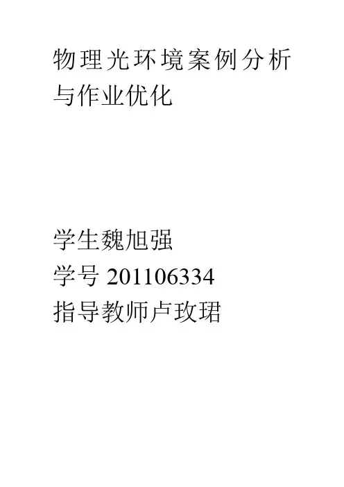 光环境分析