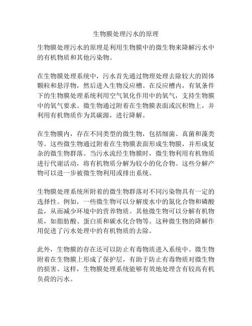 生物膜处理污水的原理