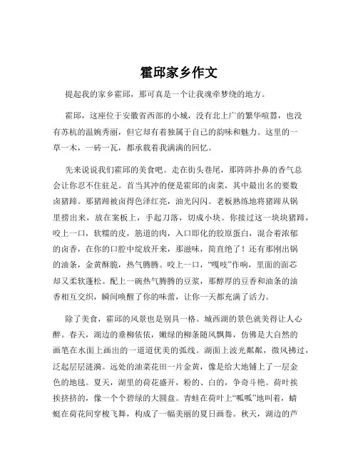 霍邱家乡作文