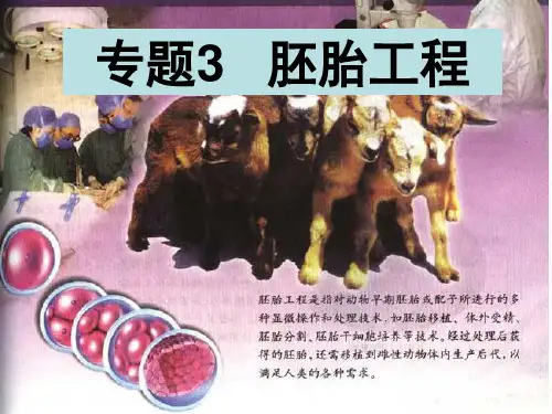 高中选修生物体内受精和早期胚胎发育 演示PPT课件