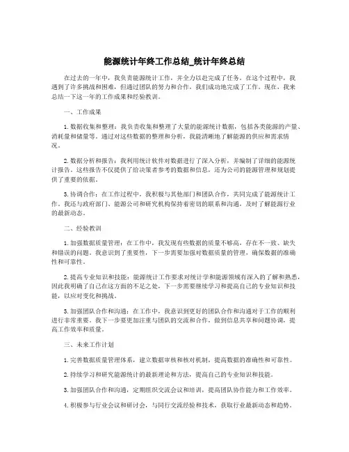 能源统计年终工作总结_统计年终总结