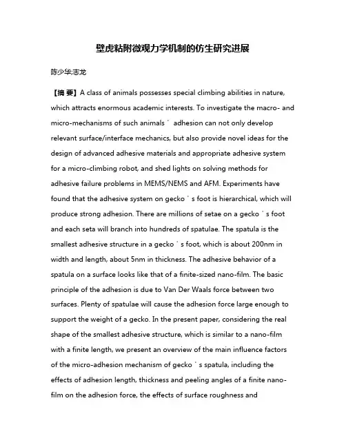 壁虎粘附微观力学机制的仿生研究进展