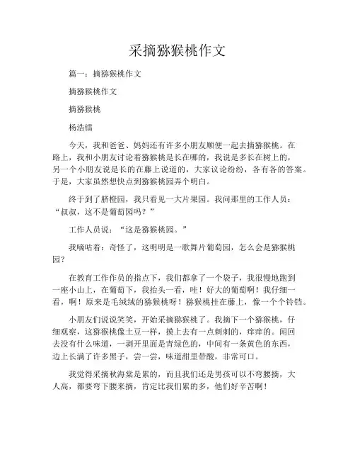 采摘猕猴桃作文