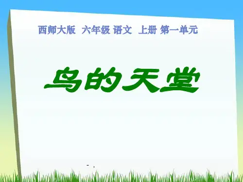 《鸟的天堂》PPT课件