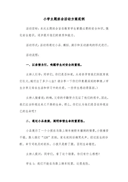 小学主题班会活动方案范例（四篇）