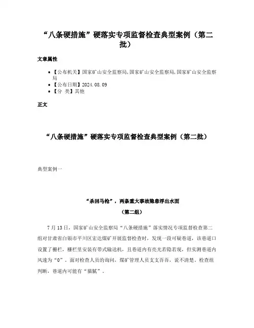 “八条硬措施”硬落实专项监督检查典型案例（第二批）