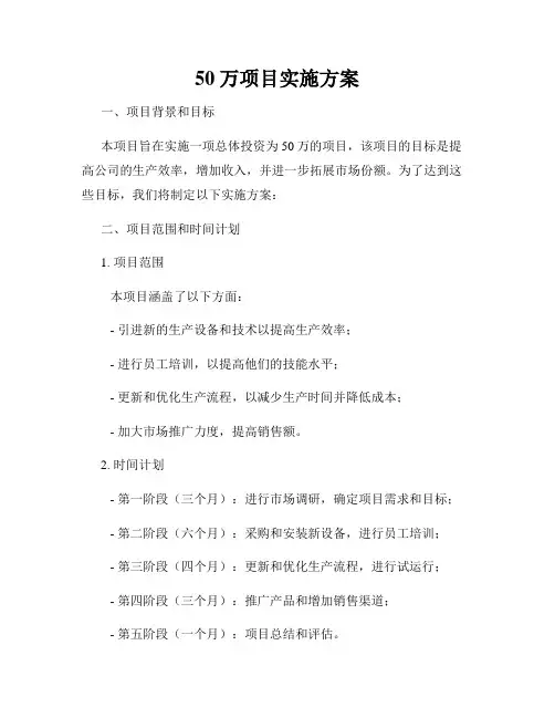 50万项目实施方案