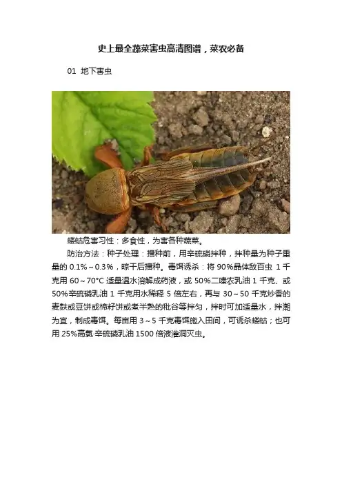 史上最全蔬菜害虫高清图谱，菜农必备