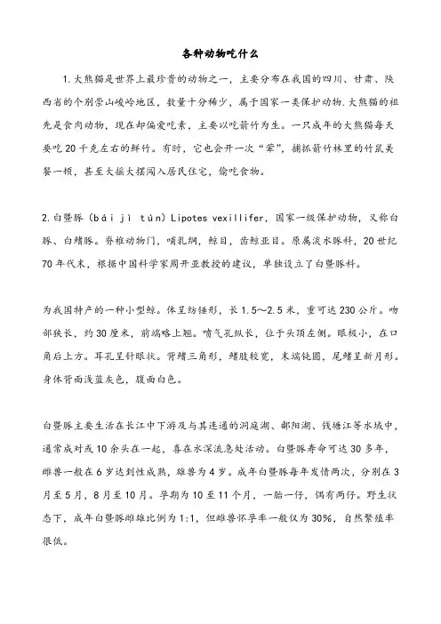 素材 各种动物吃什么