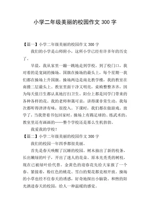 小学二年级美丽的校园作文300字