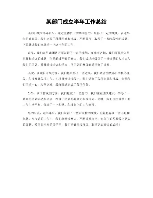 某部门成立半年工作总结
