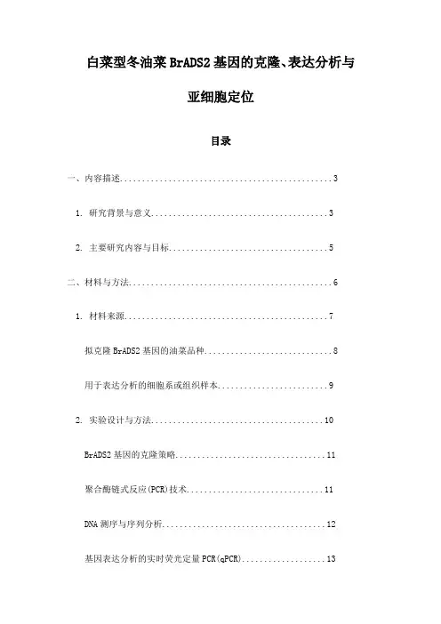 白菜型冬油菜BrADS2基因的克隆、表达分析与亚细胞定位