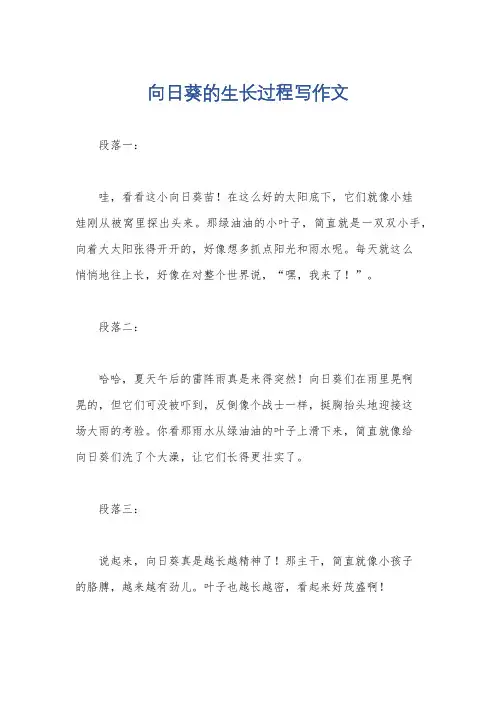 向日葵的生长过程写作文